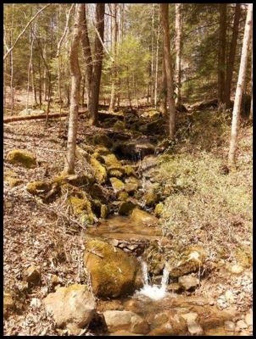 Old Turnpike Road Jamestown, TN 38556 - Photo 31 of 35 Additional Photo