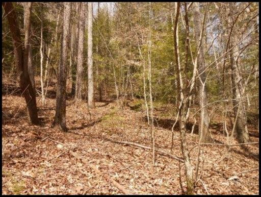 Old Turnpike Road Jamestown, TN 38556 - Photo 33 of 35 Additional Photo