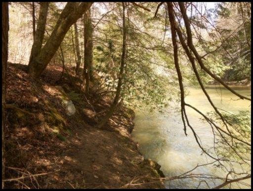 Old Turnpike Road Jamestown, TN 38556 - Photo 35 of 35 Additional Photo