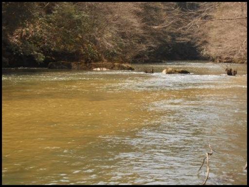 Old Turnpike Road Jamestown, TN 38556 - Photo 7 of 35 Additional Photo