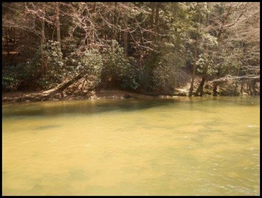 Old Turnpike Road Jamestown, TN 38556 - Photo 8 of 35 Additional Photo