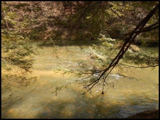 Old Turnpike Road Jamestown, TN 38556 - Photo 10 of 35 Additional Photo