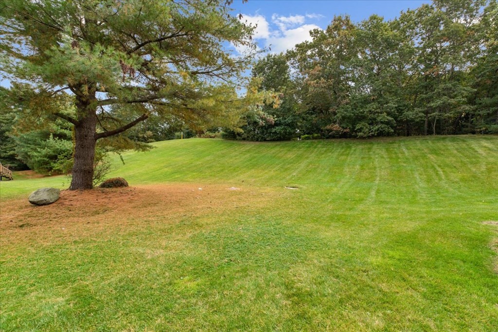 152 Shaw Farm Road, Unit 152 Canton, MA 02021 - Photo 5 of 36 Gallery Image 5