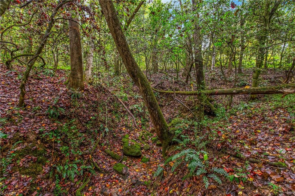 752 Joe Layne Mill Road Elkin, NC 28621 - Photo 35 of 42