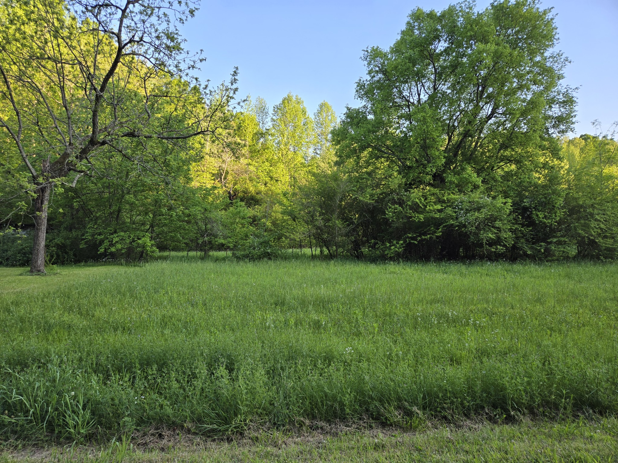 1479 Sycamore Landing Road Waverly, TN 37185 - Photo 23 of 25 Gallery Image 23