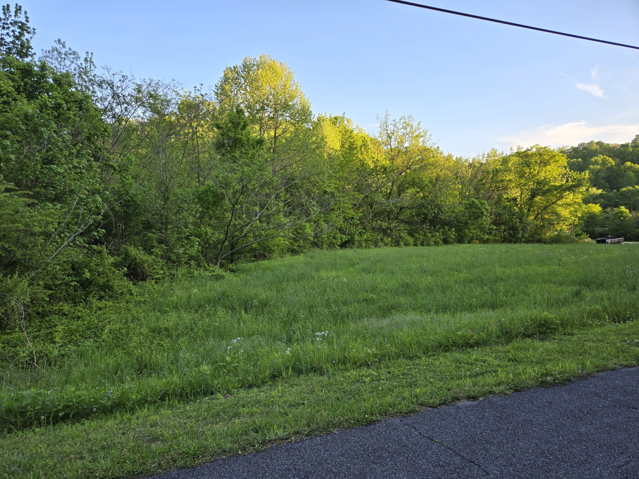 1479 Sycamore Landing Road Waverly, TN 37185 - Photo 25 of 25 Gallery Image 25