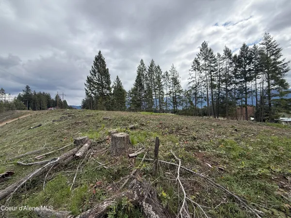 $219,000 | Nka Blue Sky Road, Bonners Ferry, ID 83805