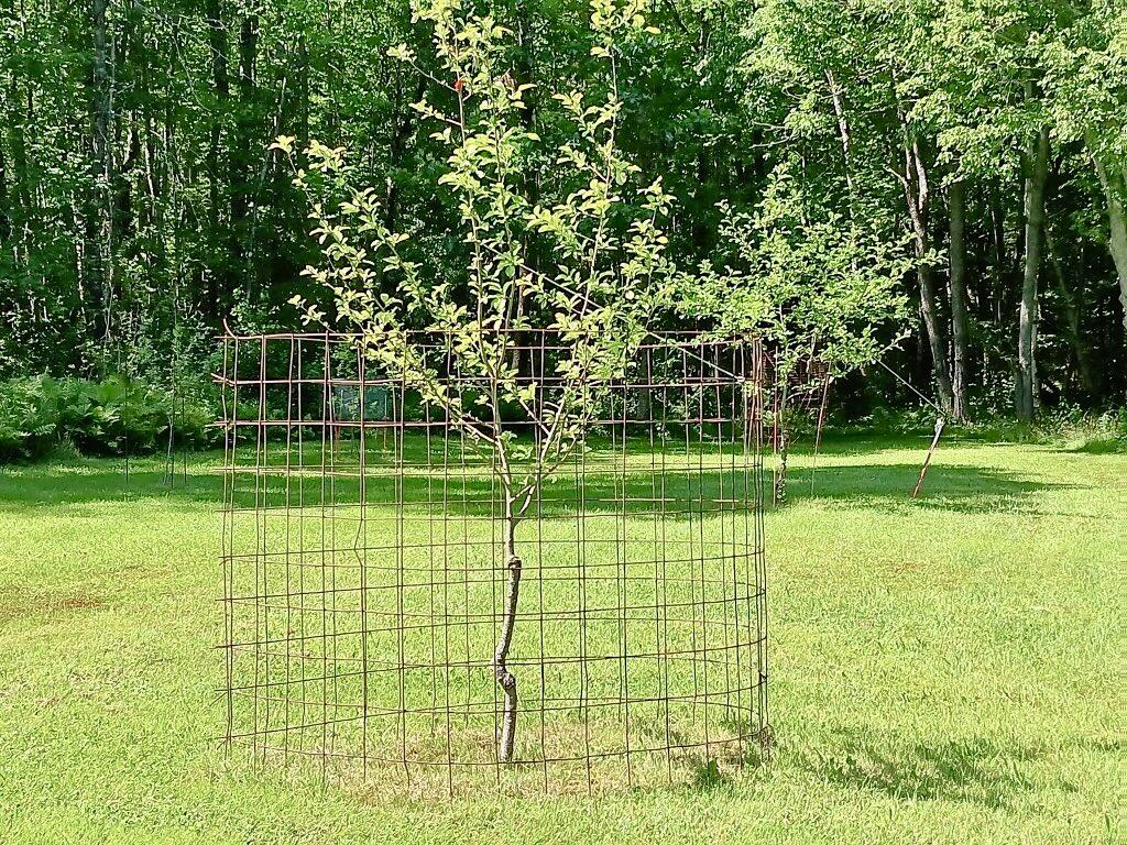 55 Christian Hill Road Charleston, ME 04422 - Photo 8 of 111