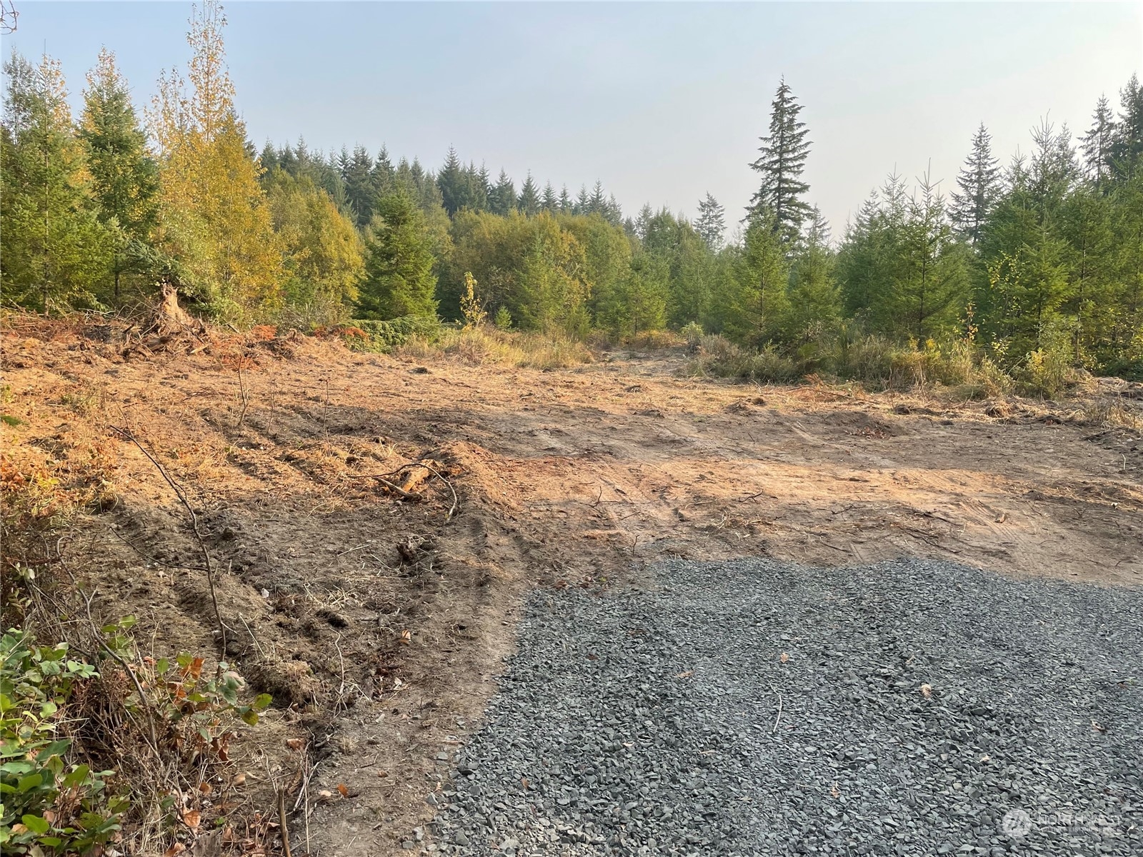 0 Skinner Road Winlock, WA 98596 - Photo 1 of 4 a view of a yard with trees in the background