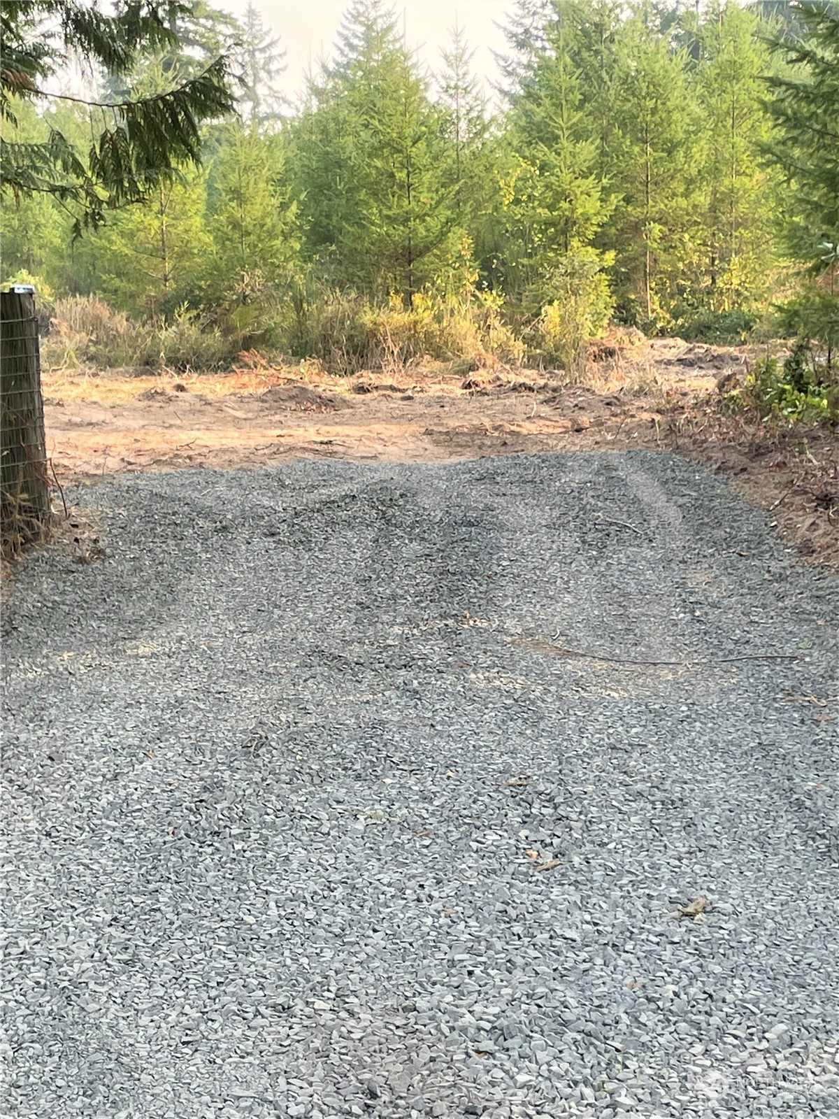 0 Skinner Road Winlock, WA 98596 - Photo 2 of 4 a view of beach and yard