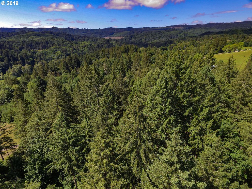 51998 Rabinsky Road Scappoose, OR 97056 - Photo 3 of 30 Gallery Image 3