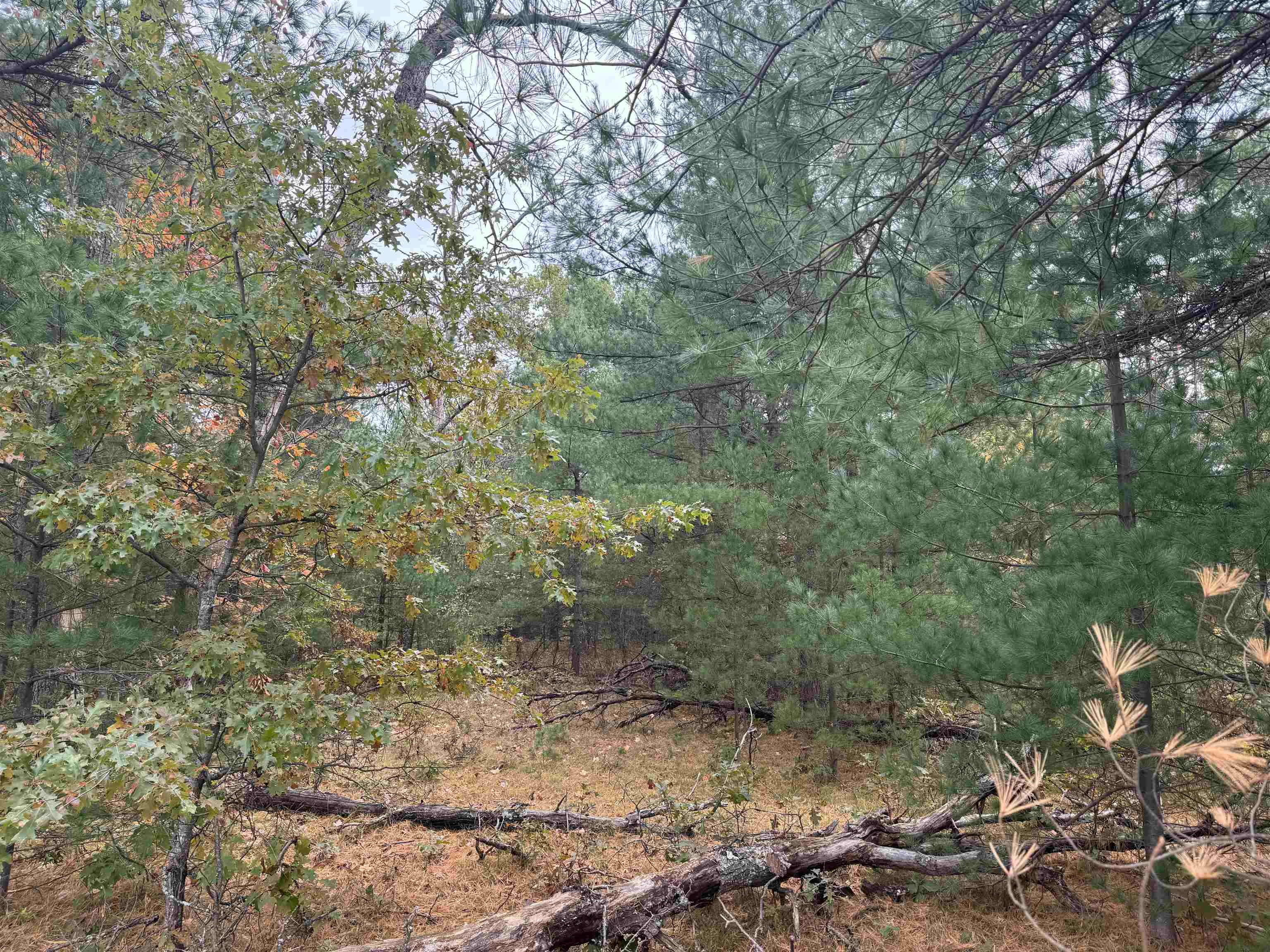 0 Rifle River Drive Prescott, MI 48756 - Photo 7 of 8