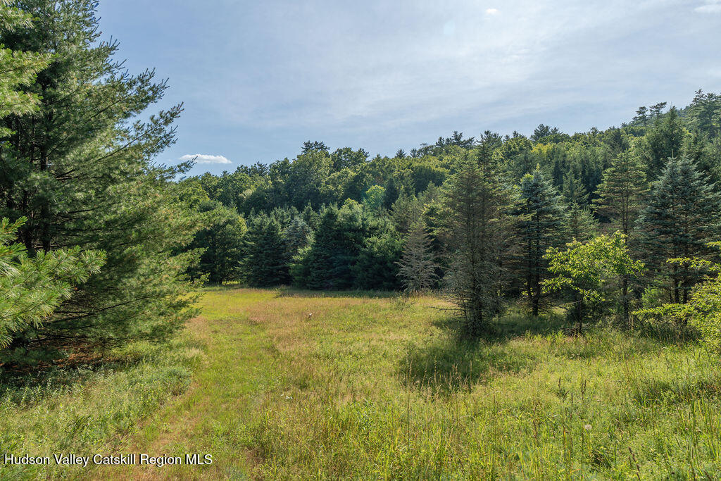 189 Tice Road Ellenville, NY 12428 - Photo 39 of 44 41