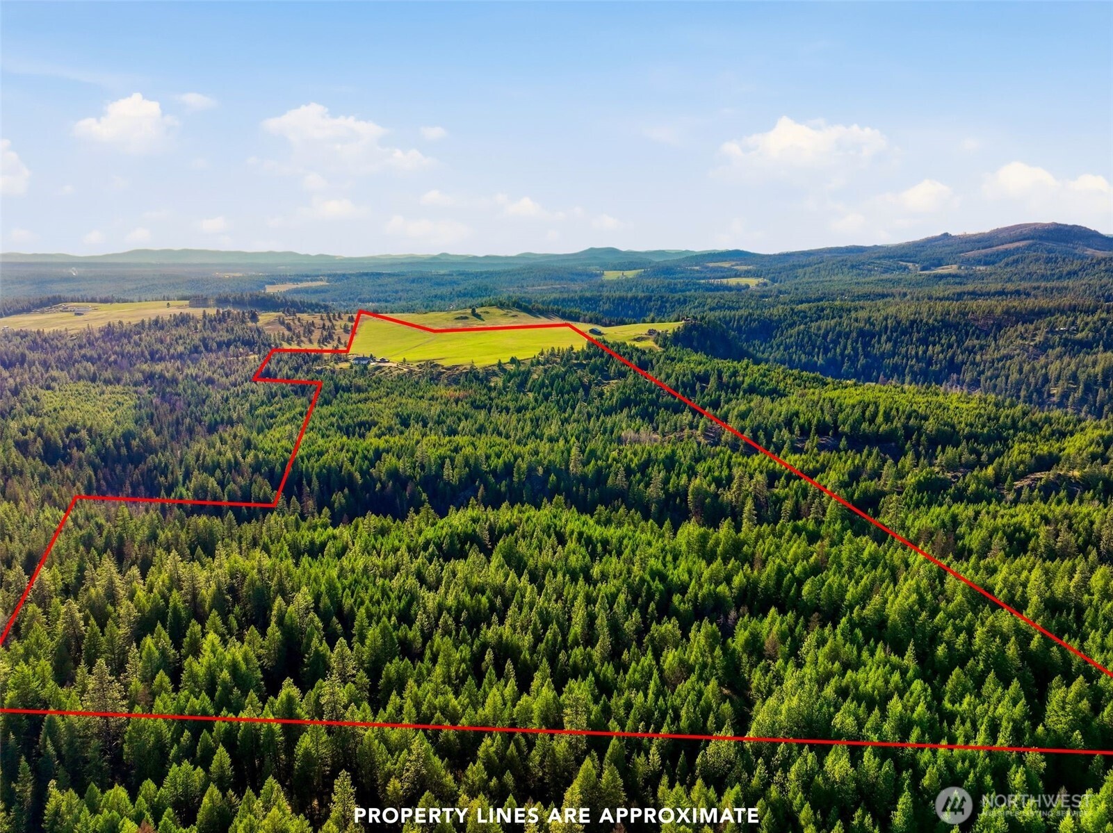 Undisclosed Address Elk, WA 99009 - Photo 4 of 40 a view of a city with lush green forest