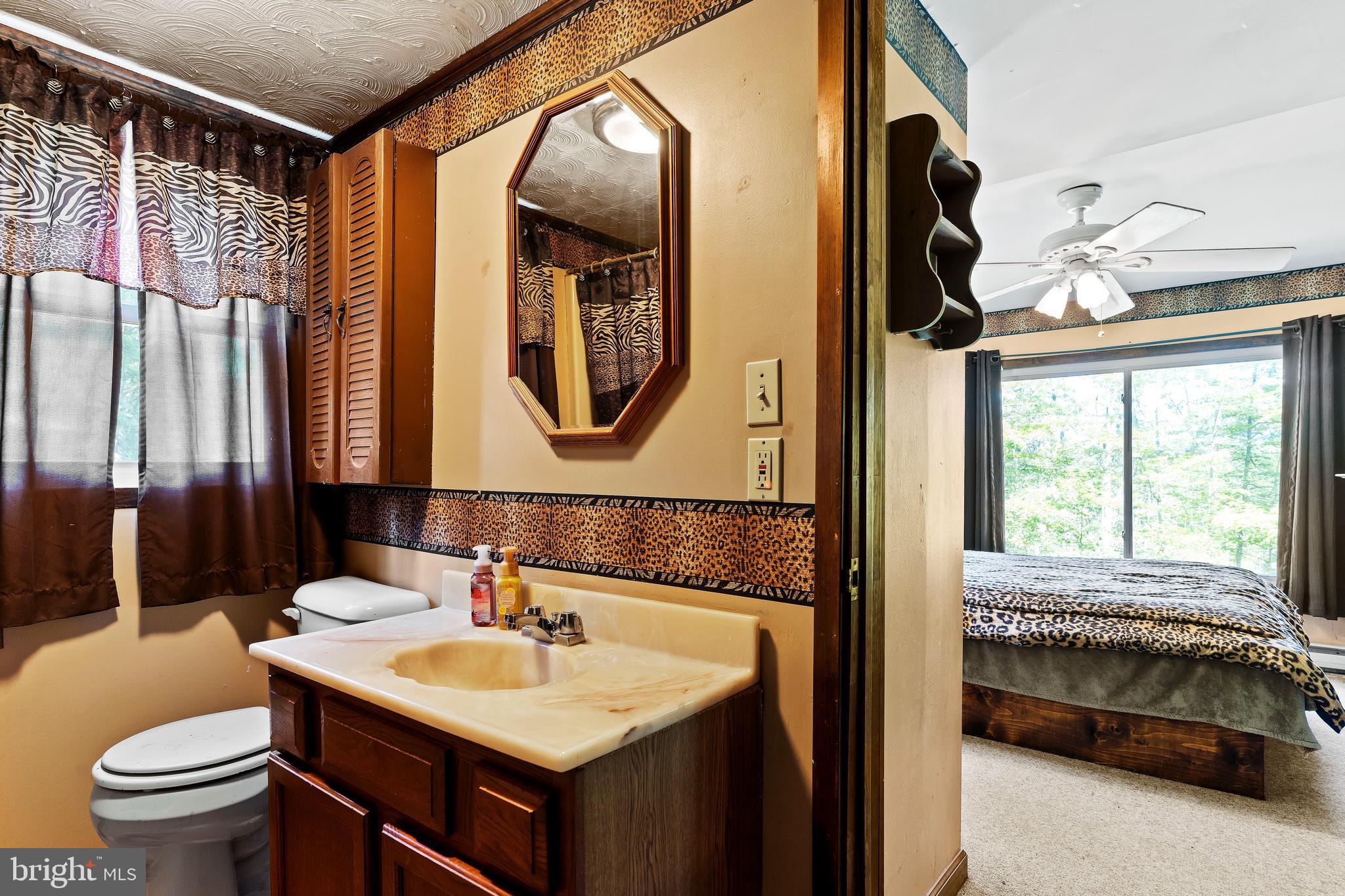 21429 Buck Trail Shade Gap, PA 17255 - Photo 15 of 42 a en suite bathroom with a sink and a mirror