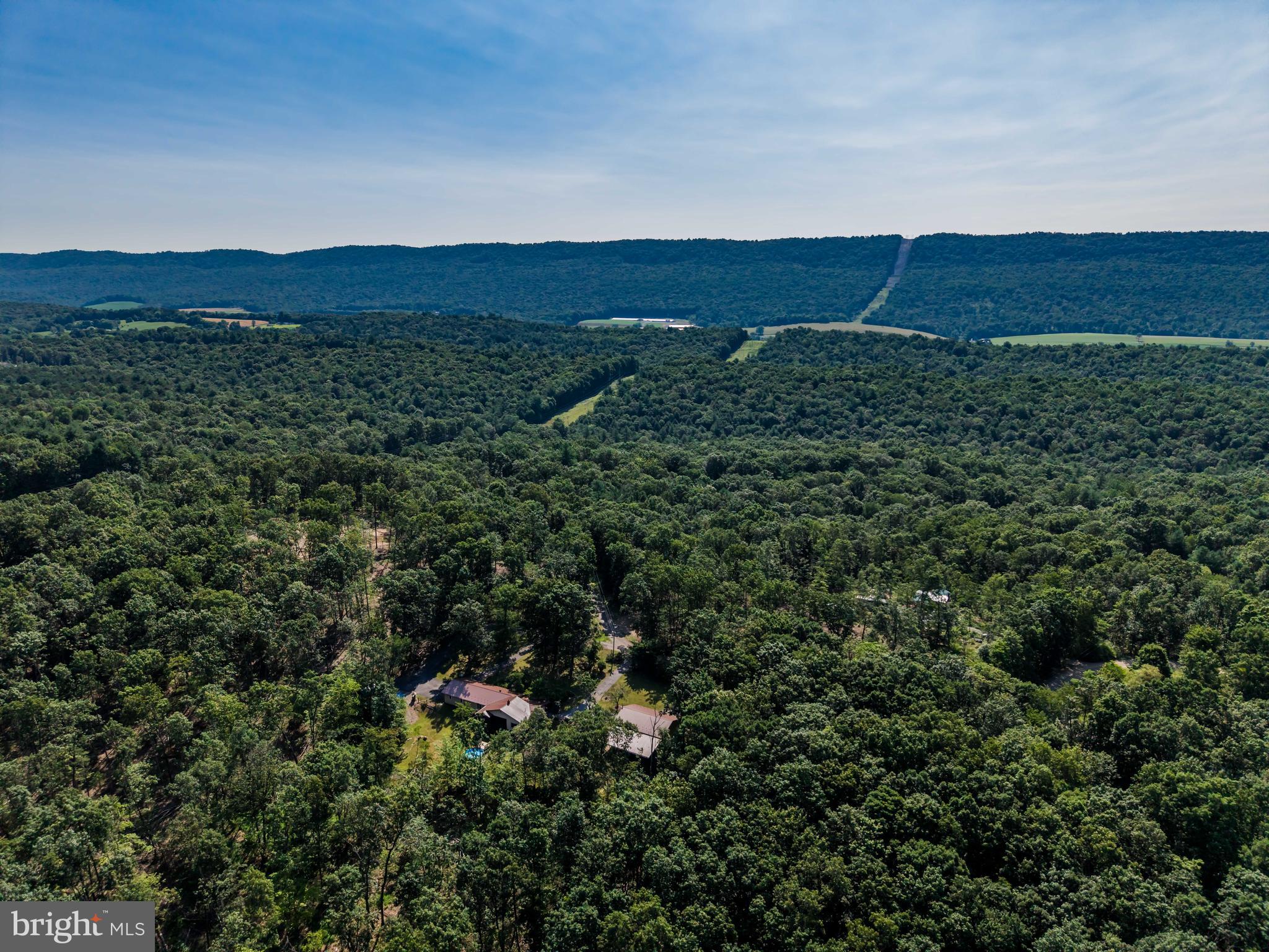 21429 Buck Trail Shade Gap, PA 17255 - Photo 29 of 42 a view of a lush green forest with houses in the back