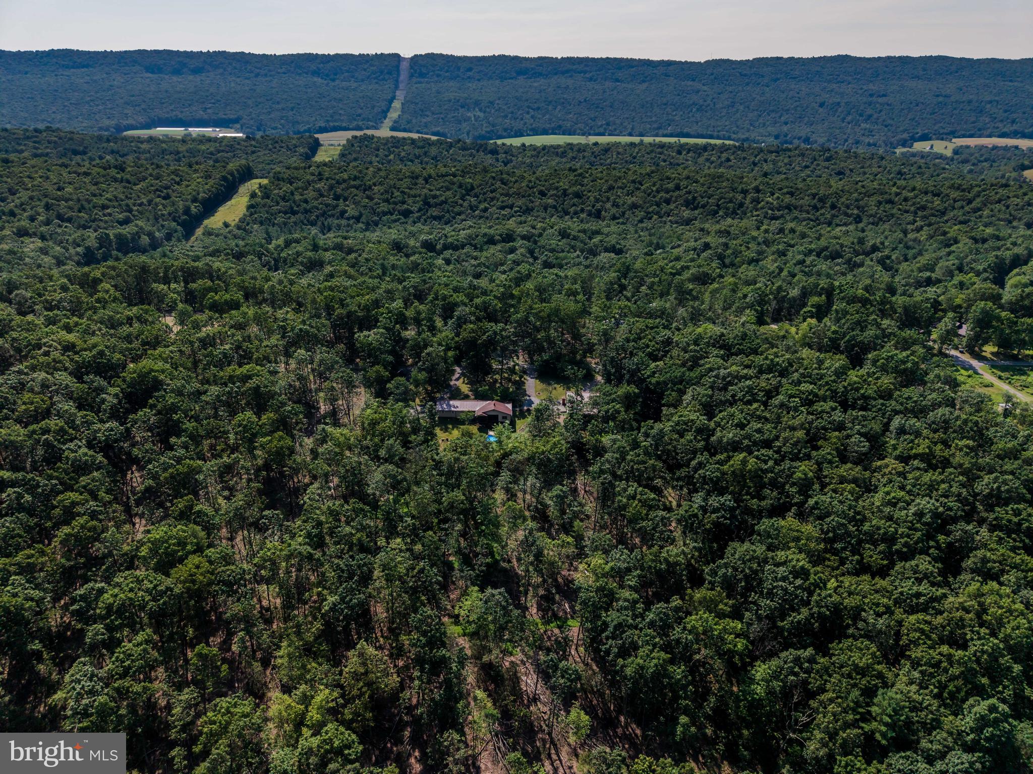 21429 Buck Trail Shade Gap, PA 17255 - Photo 30 of 42 a view of a yard with an outdoor space