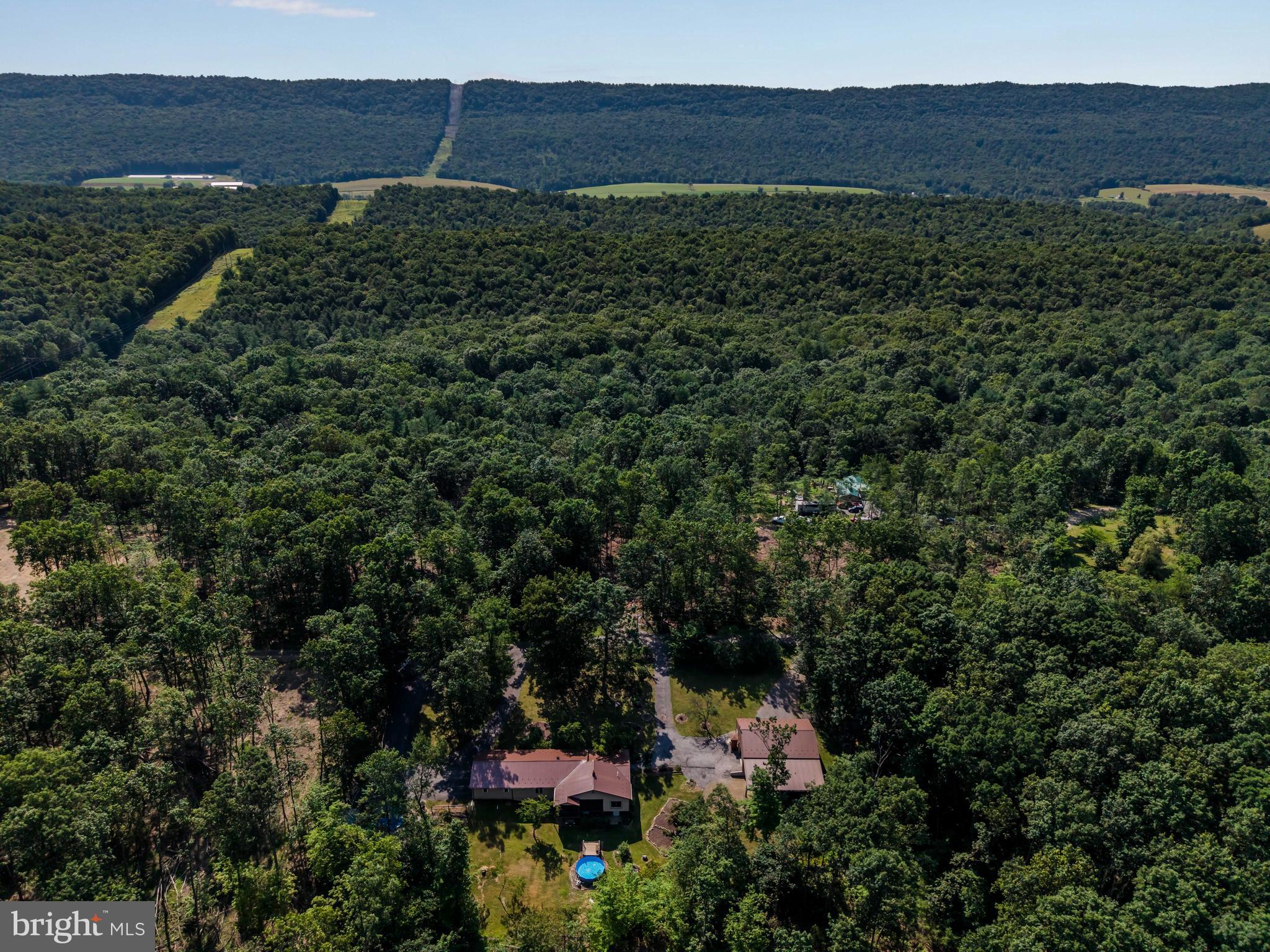 21429 Buck Trail Shade Gap, PA 17255 - Photo 31 of 42 a view of a lush green field