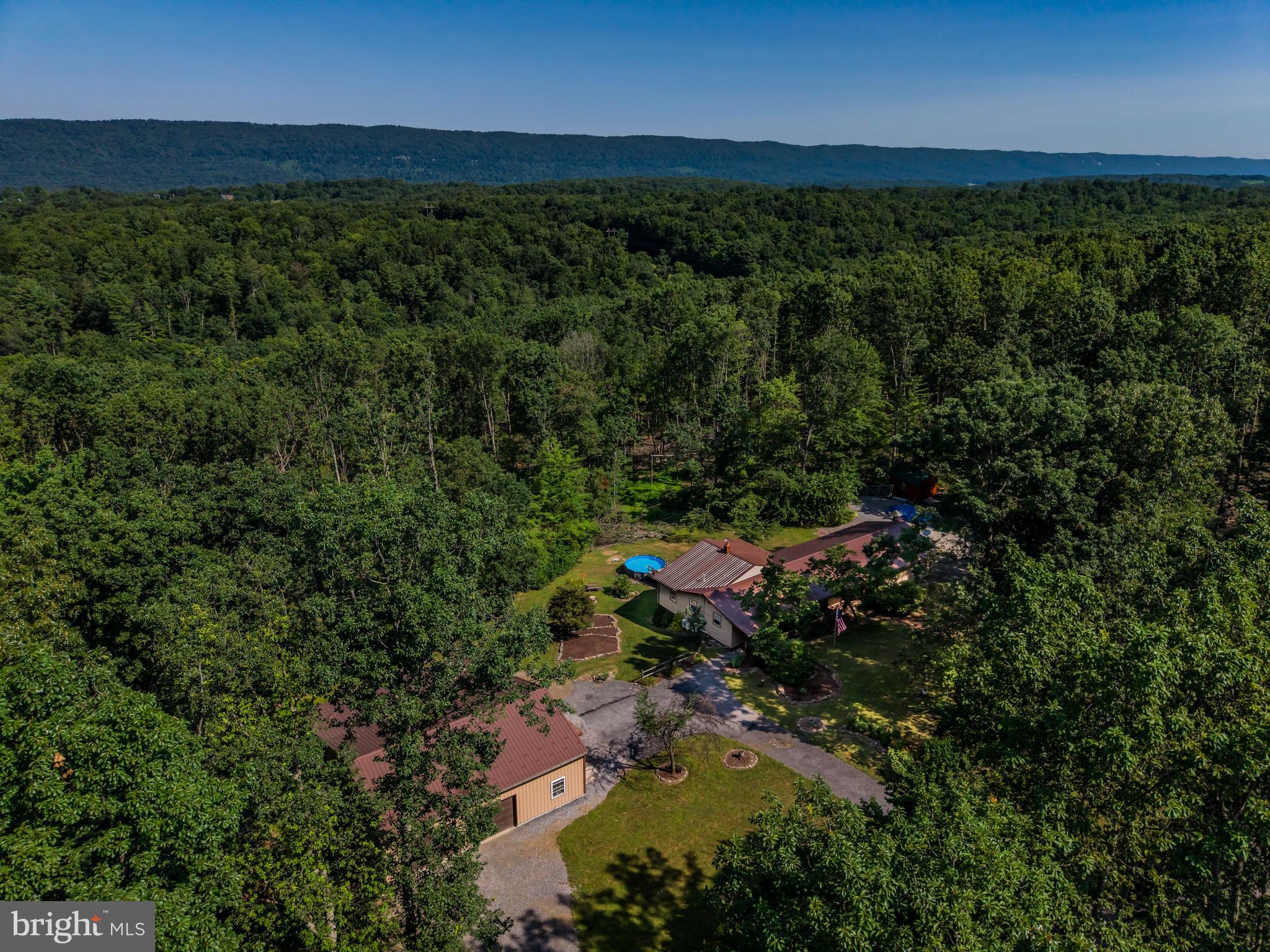 21429 Buck Trail Shade Gap, PA 17255 - Photo 32 of 42 a view of a lush green forest with a building in the back