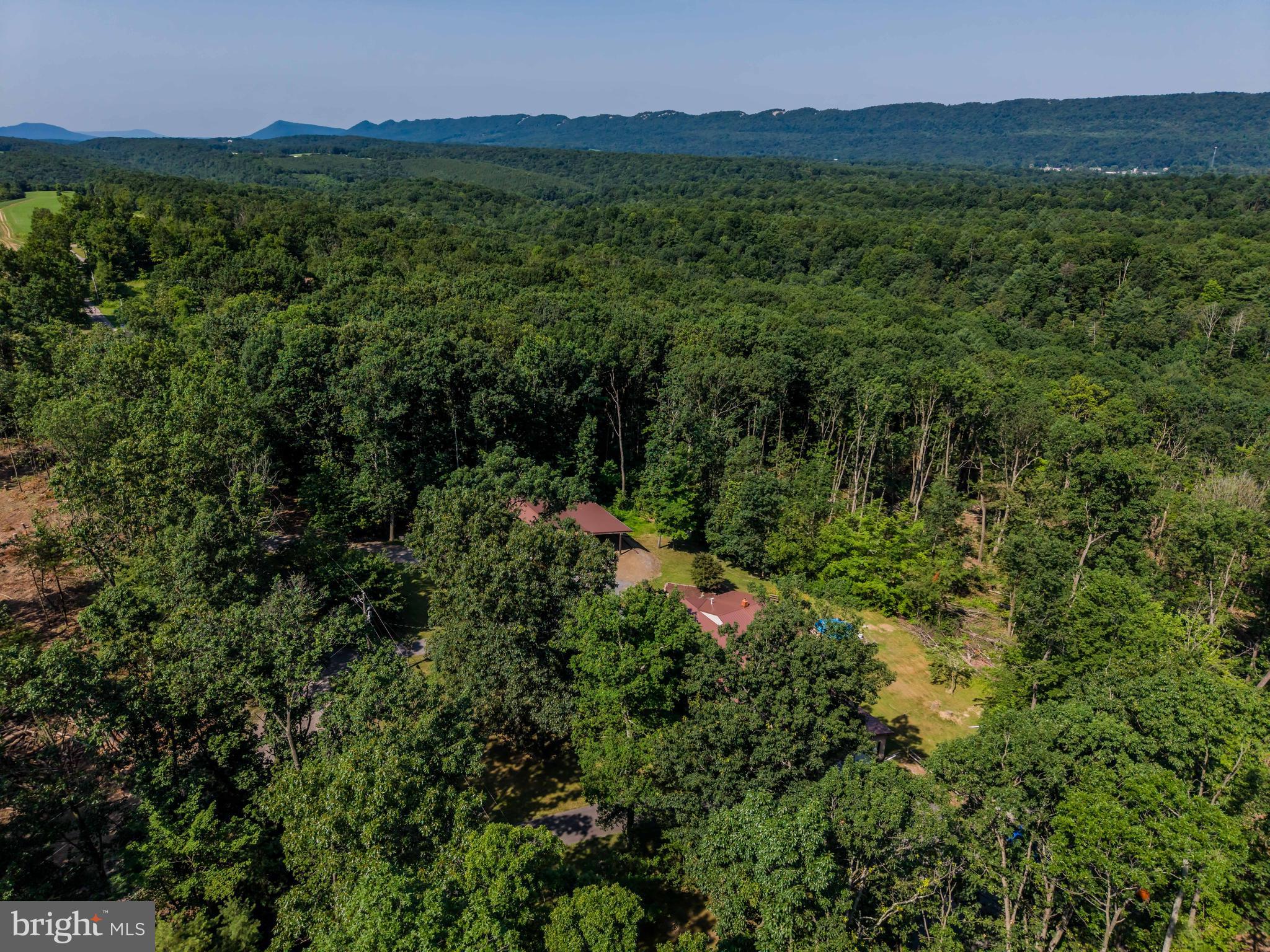 21429 Buck Trail Shade Gap, PA 17255 - Photo 33 of 42 a view of a lush green forest with a houses