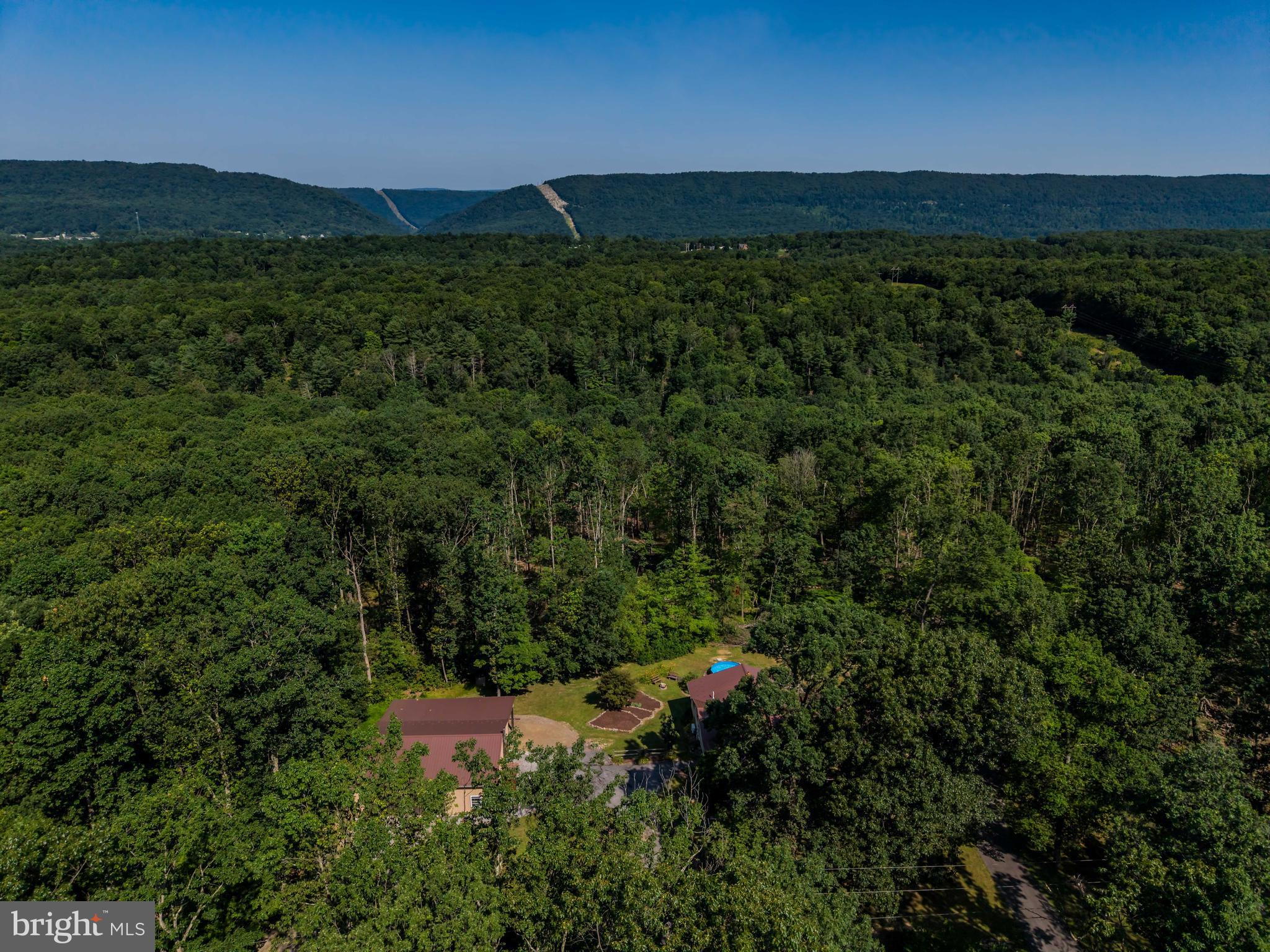 21429 Buck Trail Shade Gap, PA 17255 - Photo 34 of 42 a view of outdoor space and yard