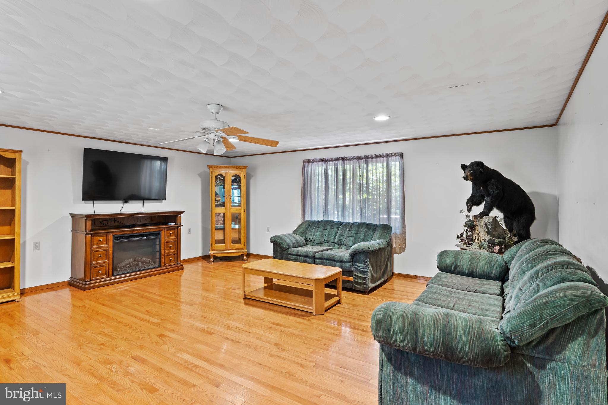 21429 Buck Trail Shade Gap, PA 17255 - Photo 5 of 42 a living room with furniture a fireplace and a flat screen tv