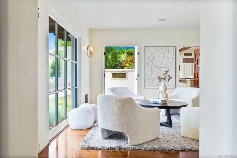 a lush green forest with lots of trees