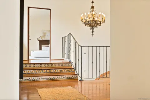 a view of a garden with plants