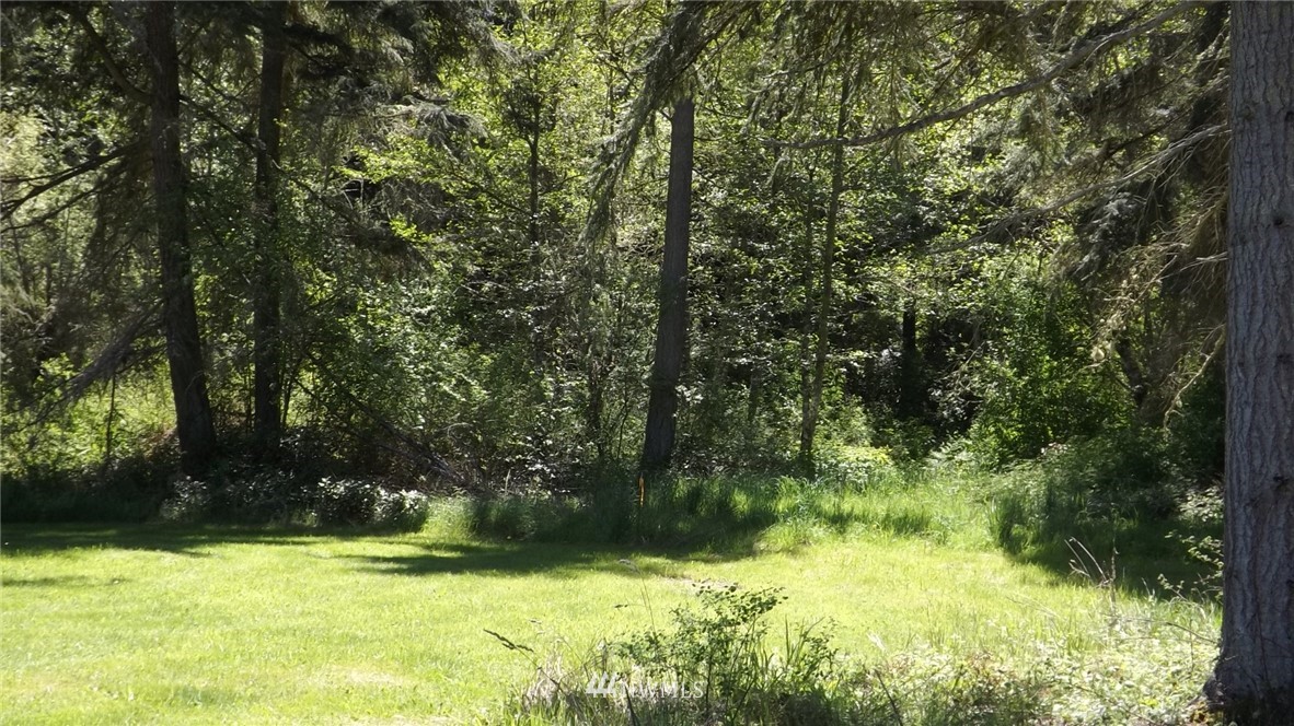453 O Brien Road Port Angeles, WA 98362 - Photo 20 of 23 Gallery Image 20