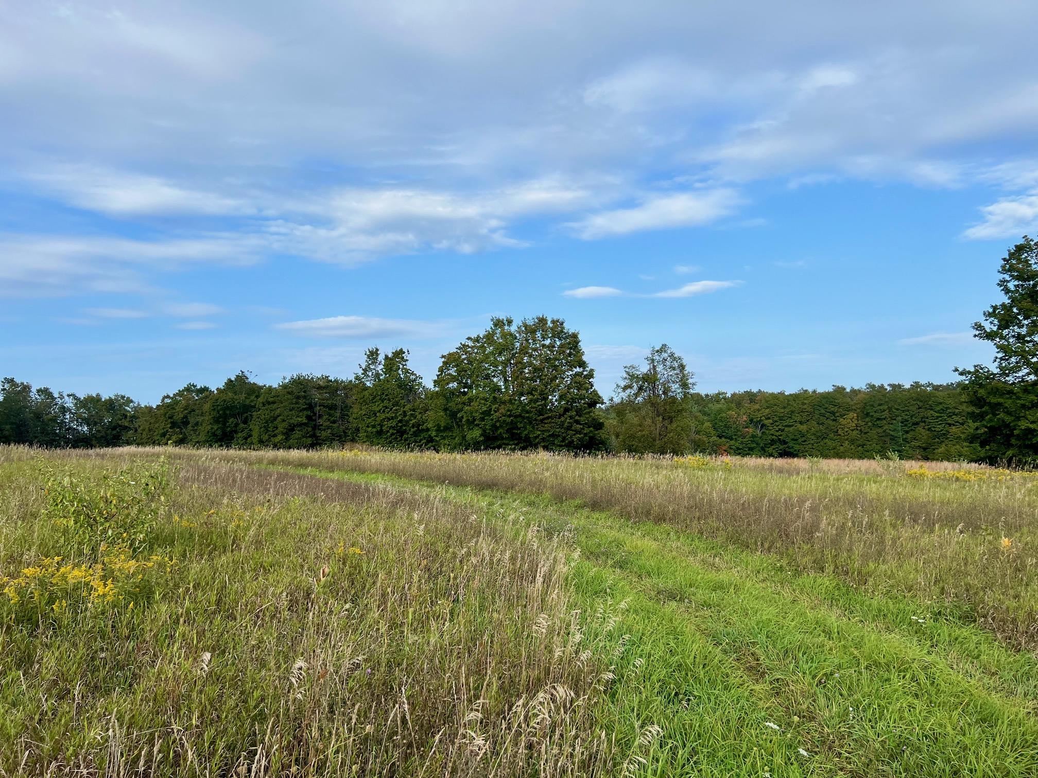 0 Skinner Road Charlevoix, MI 49720 - Photo 8 of 15