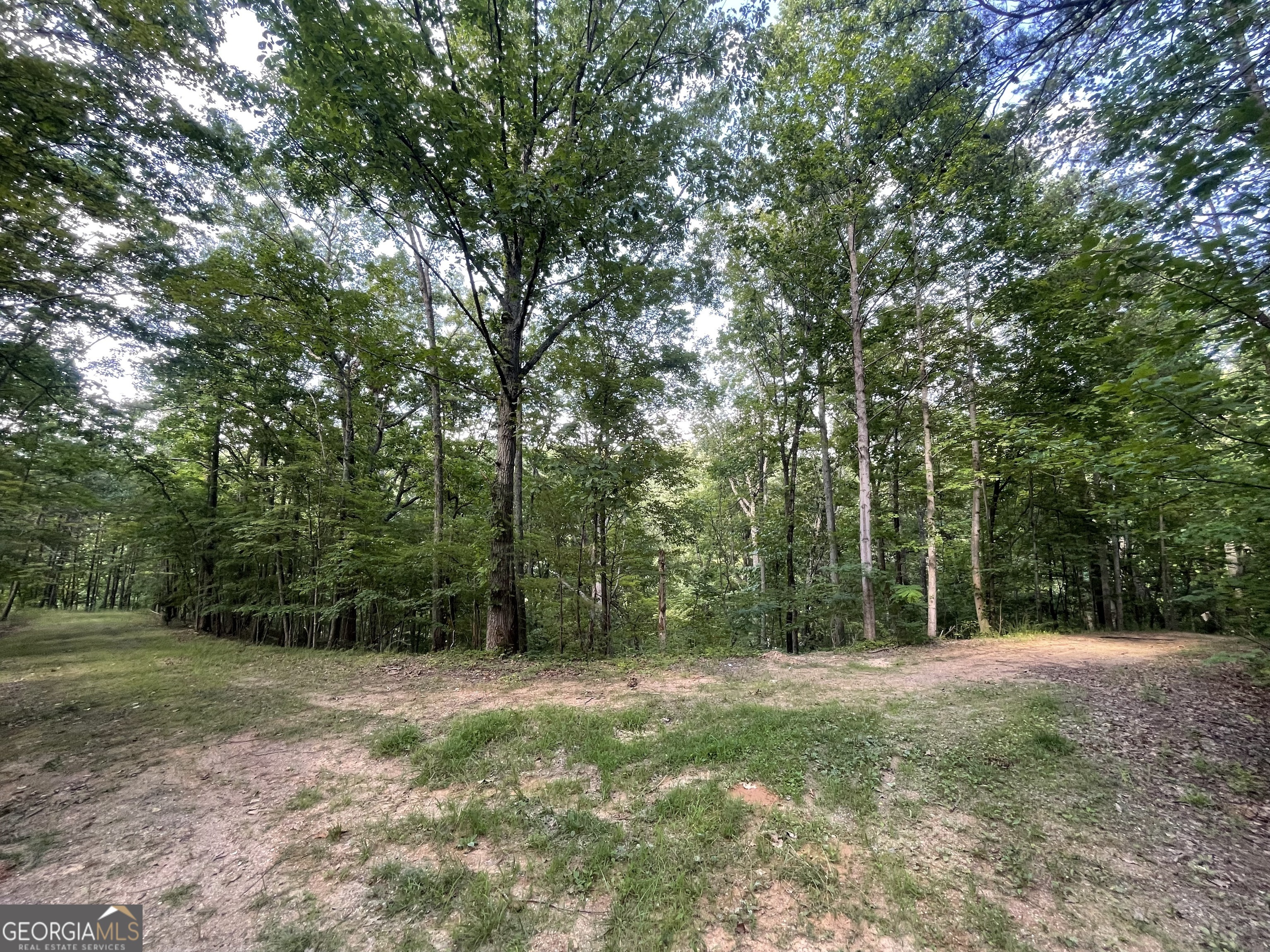 a view of outdoor space and yard
