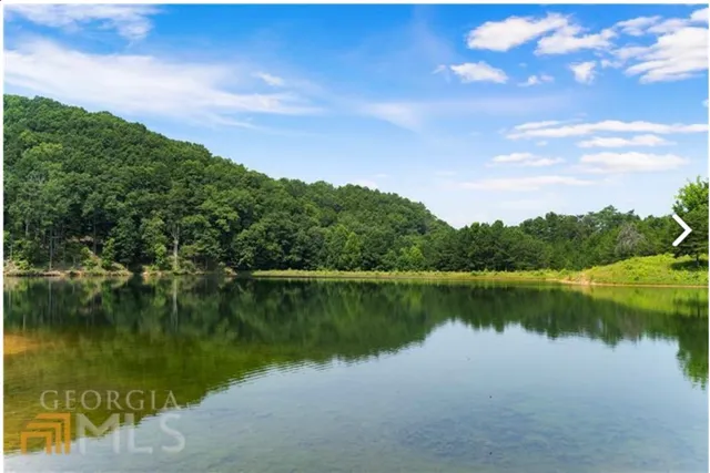 a view of a bathtub and yard in the background