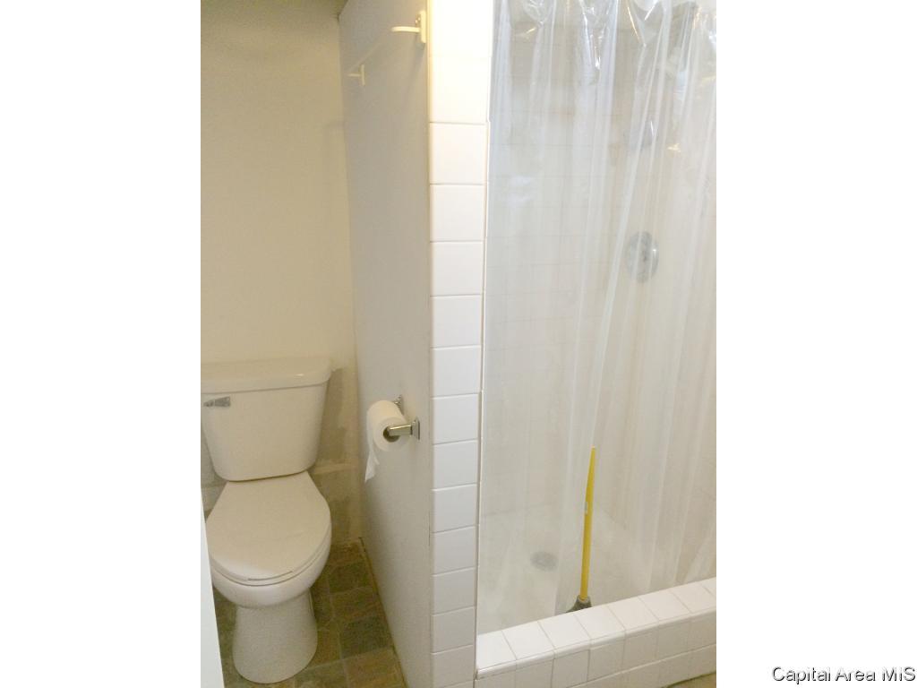 2822 South Price Avenue Springfield, IL 62704 - Photo 19 of 27