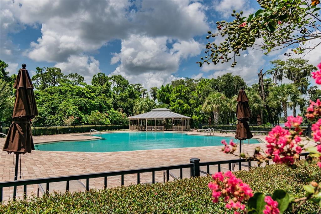 10624 Reams Road Windermere, FL 34786 - Photo 49 of 61 a view of yard with swimming pool and green space