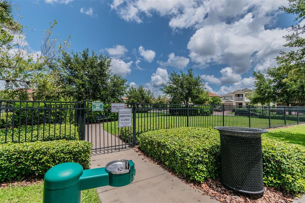 10624 Reams Road Windermere, FL 34786 - Photo 59 of 61 a view of a garden with swimming pool
