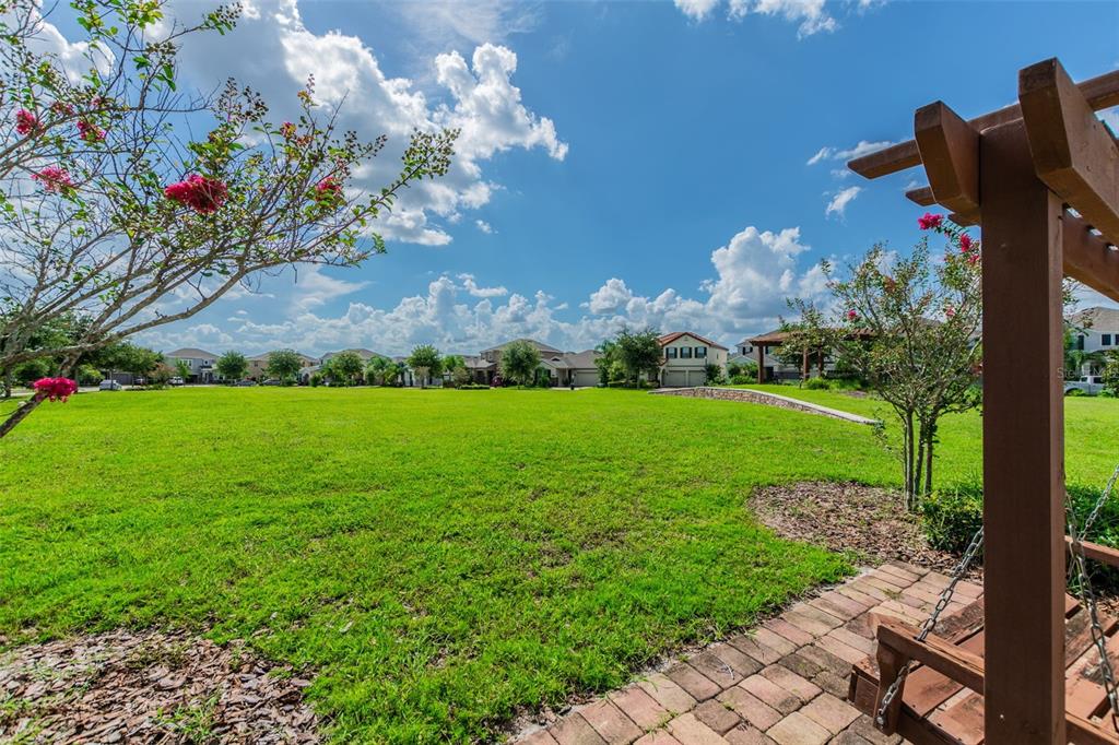 10624 Reams Road Windermere, FL 34786 - Photo 60 of 61 a view of a garden with a flower