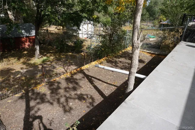 a view of a yard with a tree