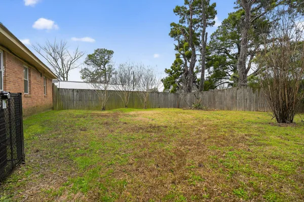 a view of backyard with tree