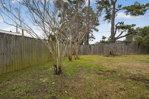 a view of a backyard