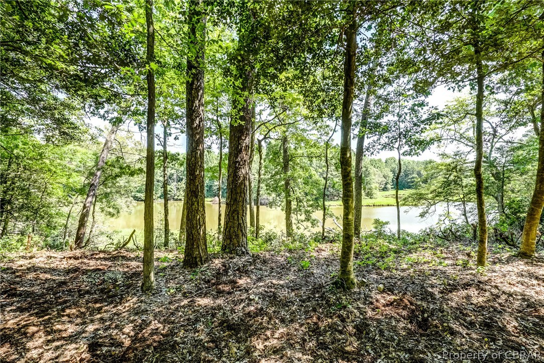 770 Deep Creek Road Lancaster, VA 22503 - Photo 30 of 33 Gallery Image 30