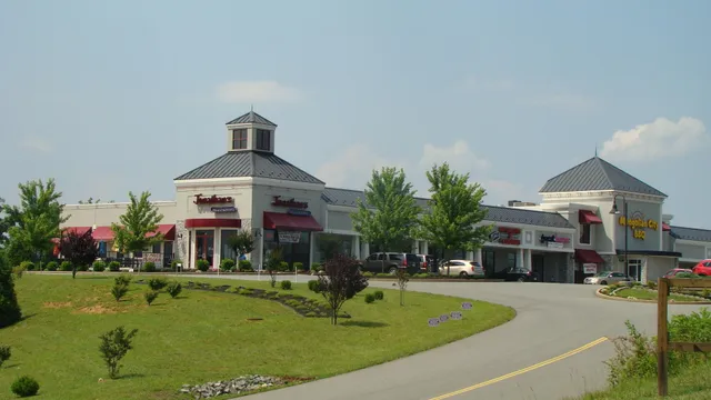 an aerial view of a house with garden space