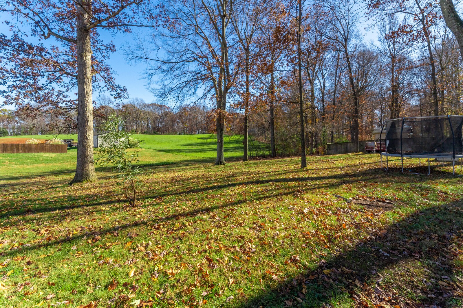 8035 Cedar Grove Road Cross Plains, TN 37049 - Photo 5 of 40 a view of a yard with a tree