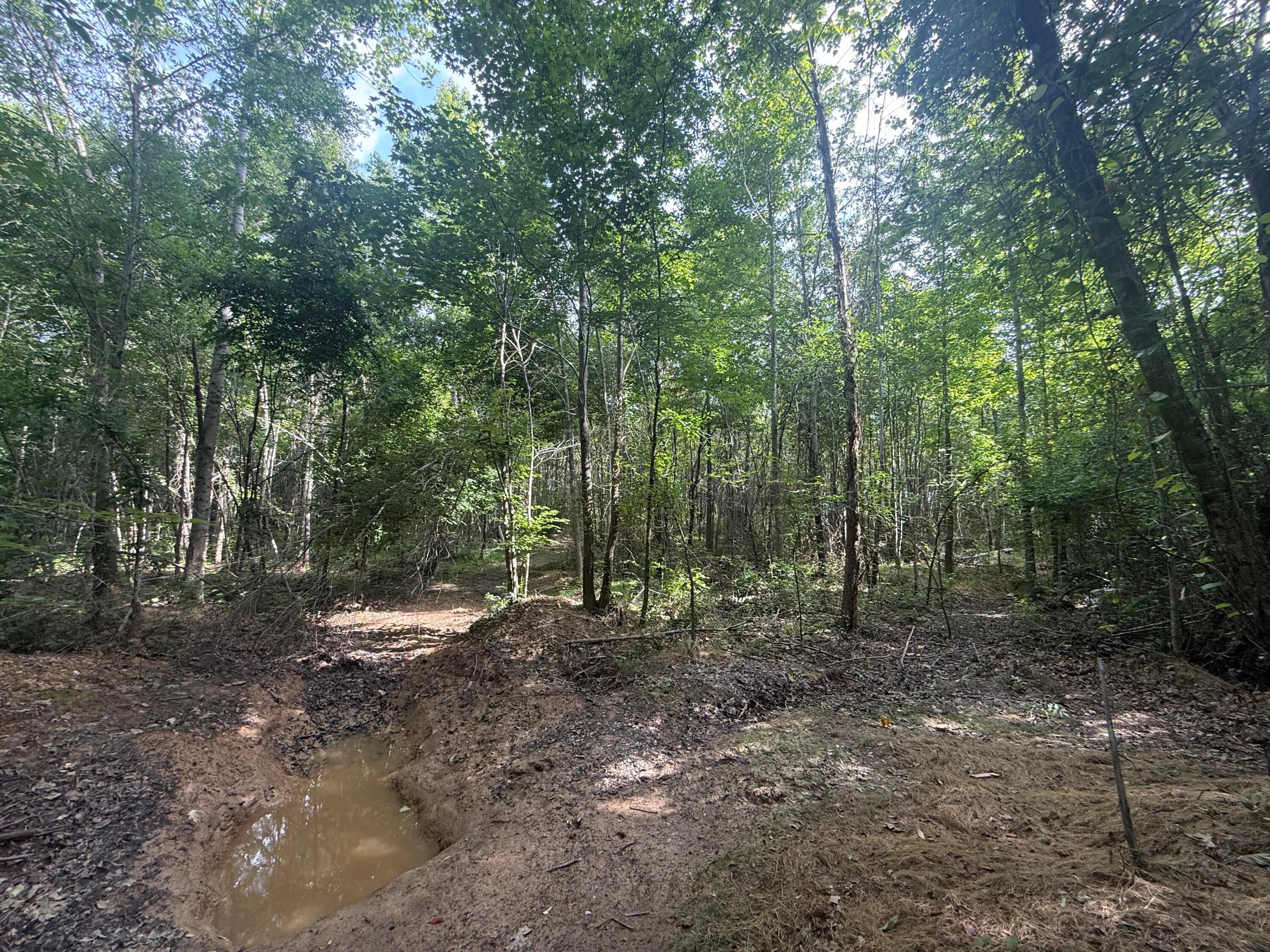2275 Graham Road Thaxton, MS 38871 - Photo 8 of 17 Gallery Image 8