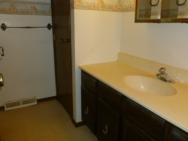 1948 Bilter Road Aurora, IL 60502 - Photo 17 of 25 a bathroom with a sink and a shower