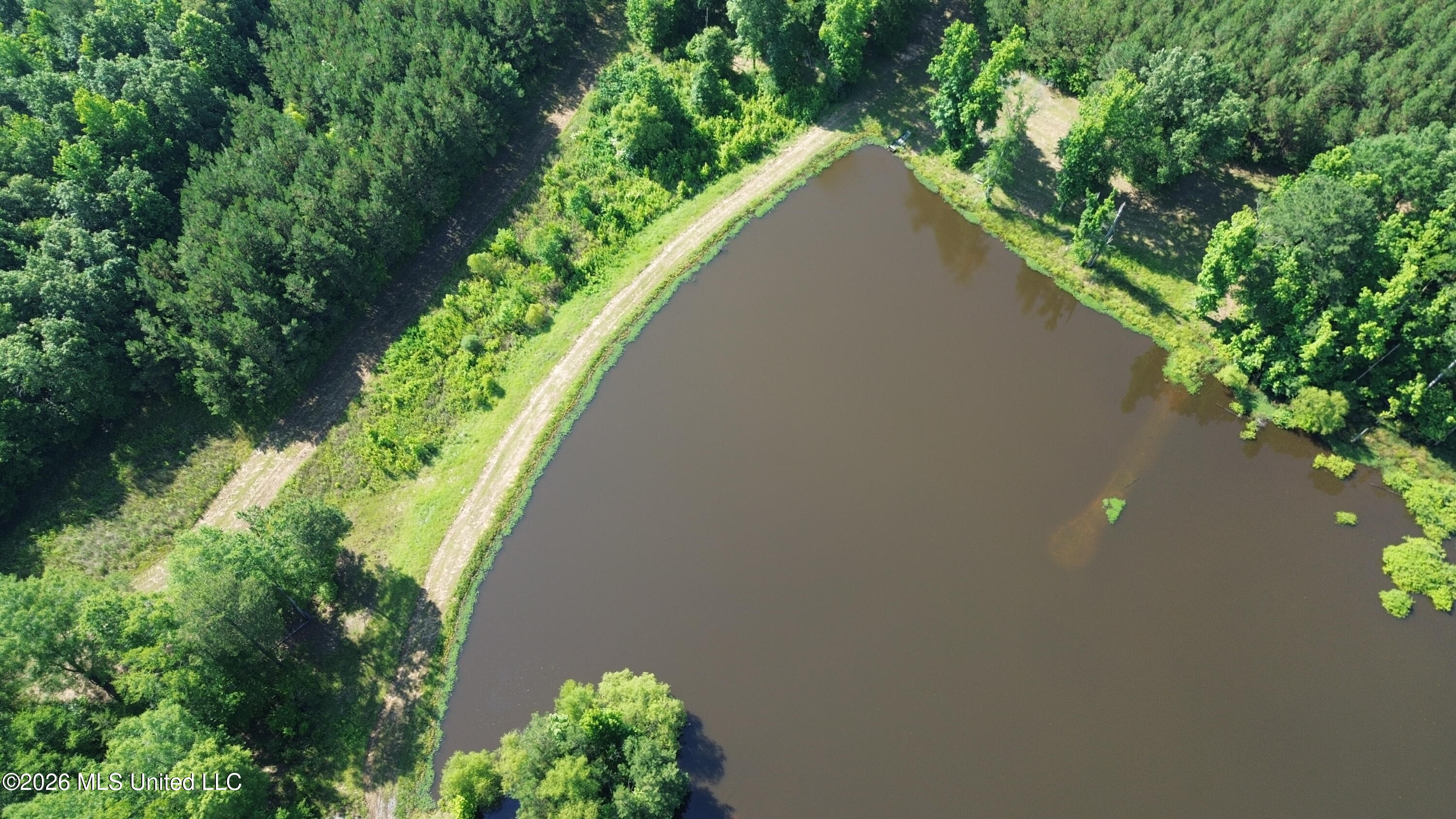 1359 Loring Rd Exd Camden, MS 39045 - Photo 5 of 91 DJI_0430
