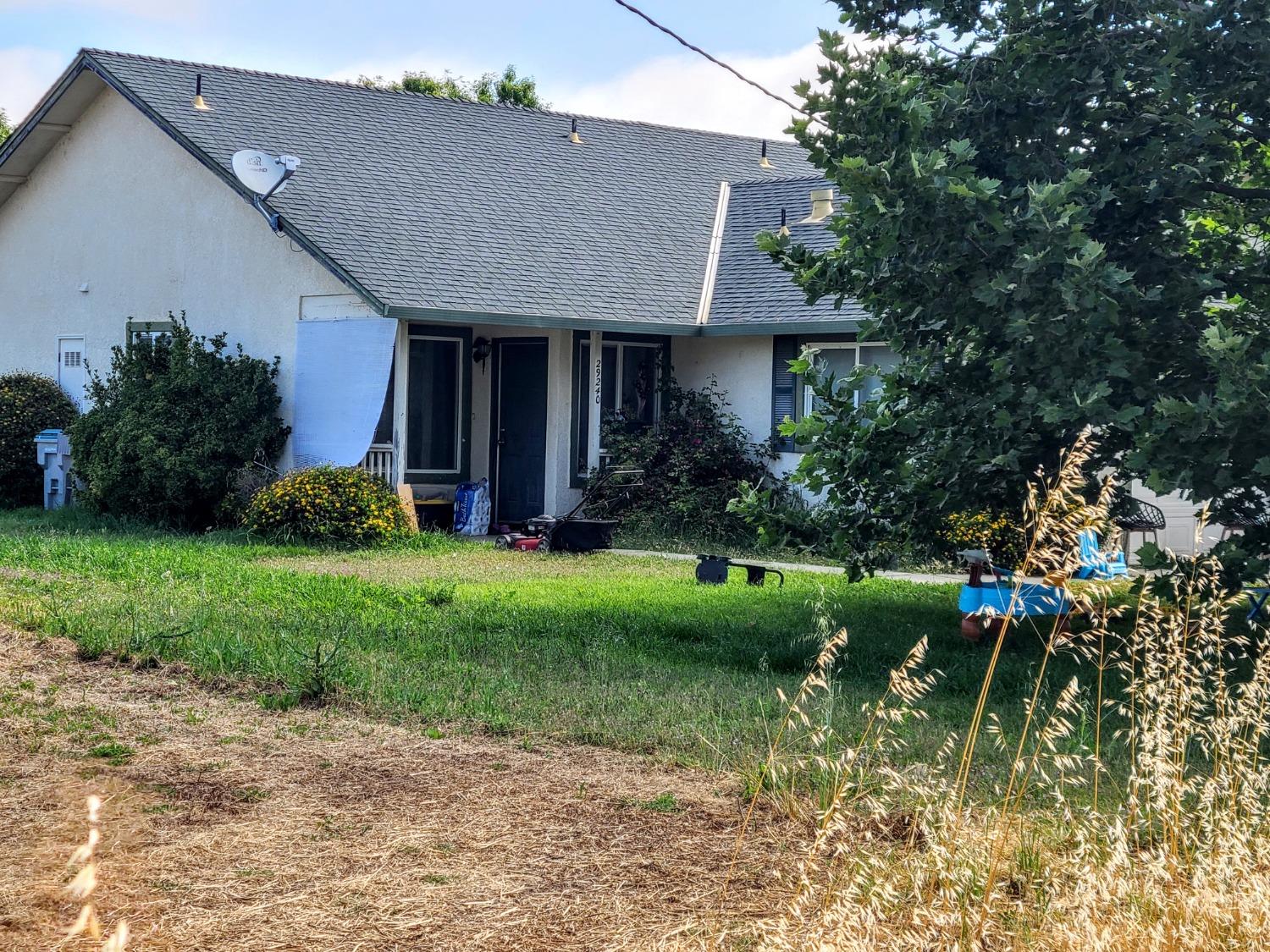 a view of a house with a yard and plants