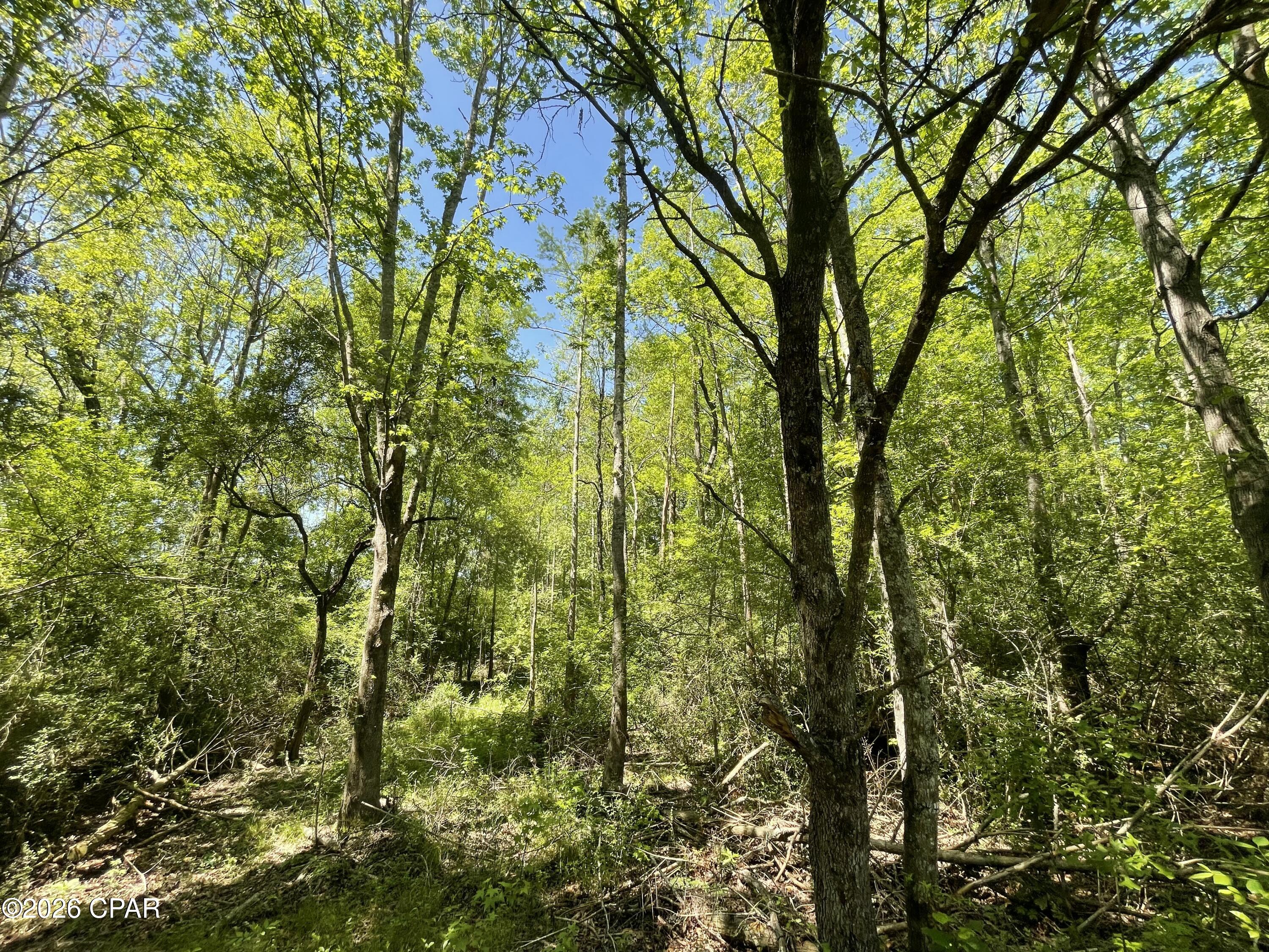 10 Peanut Road Graceville, FL 32440 - Photo 15 of 18