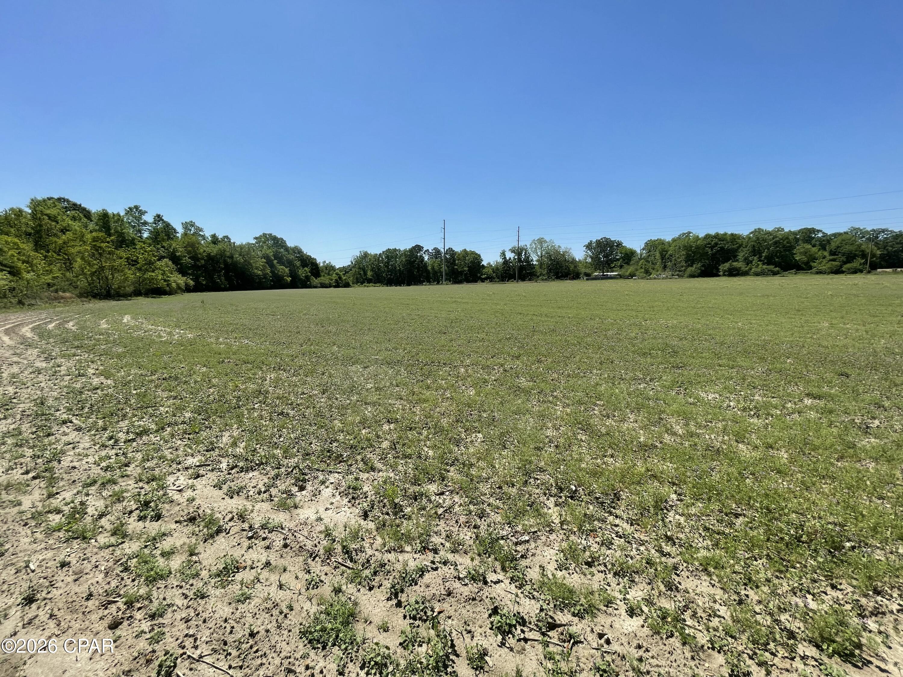 10 Peanut Road Graceville, FL 32440 - Photo 7 of 18