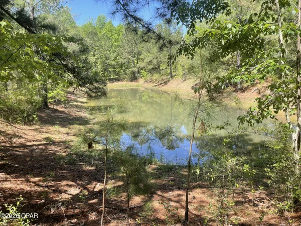 $110,000 | 10 Peanut Road, Graceville, FL 32440