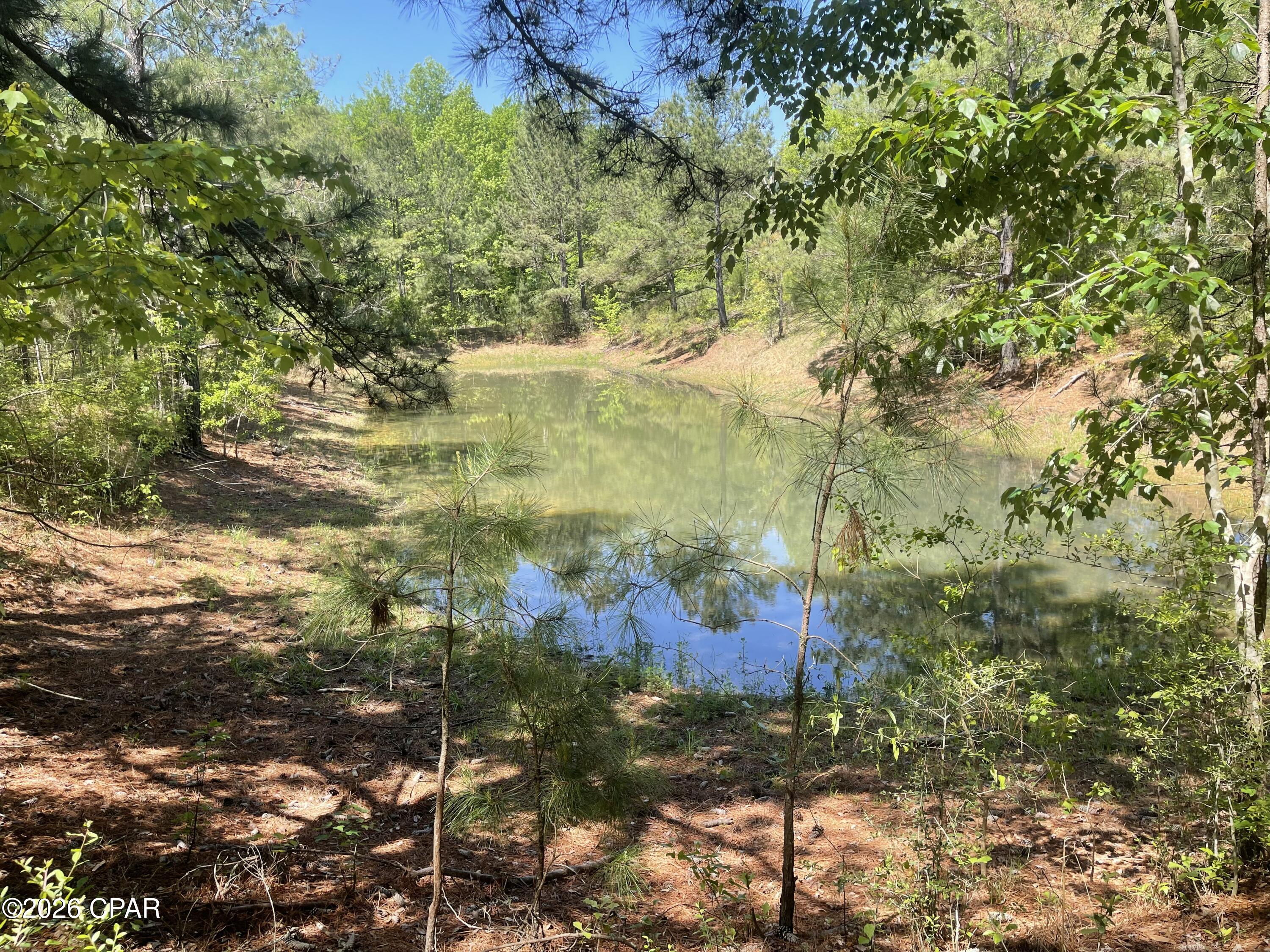 10 Peanut Road Graceville, FL 32440 - Photo 8 of 18